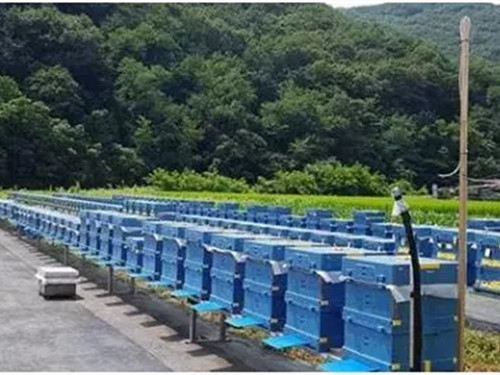 EPP蜜(mi)蜂養殖箱 EPP蜜(mi)蜂養殖箱