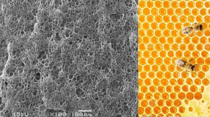 epp發(fā)泡聚丙烯的(de)顯微結構,可(ke)以看到這是(shì)種連續閉孔(kong)結構,類似于(yú)蜂窩 epp發泡聚(jù)丙烯的顯微(wēi)結構,可以看(kàn)到這是種連(lián)續閉孔結構(gou),類似于蜂窩(wo)